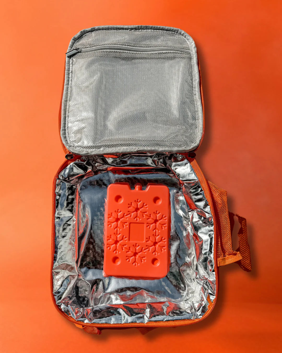 
                  
                    Mahuika Māwhero Lunch Bag & Cooler Pack - Pēpi Eats
                  
                