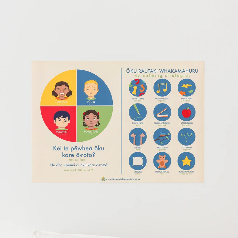 My Calming Strategies Poster (English/Te Reo Māori) - Little People, Big Emotions